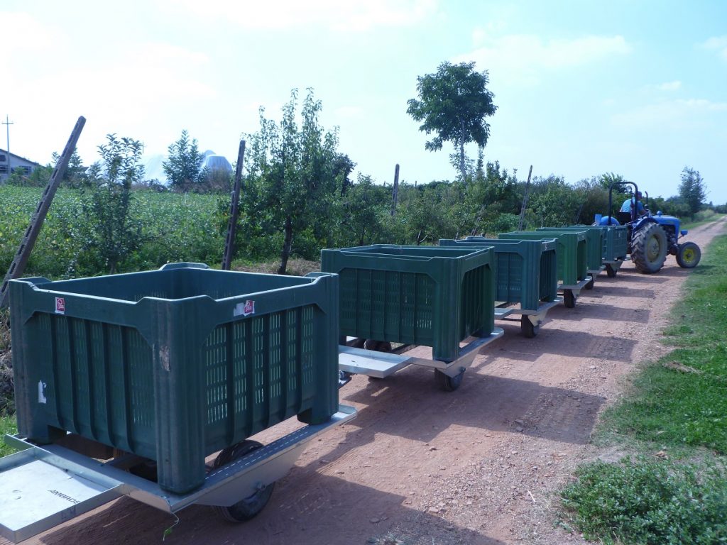 trasporto-box-train-one-4
