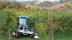 DaRos vegyszerező 7 bartifarm