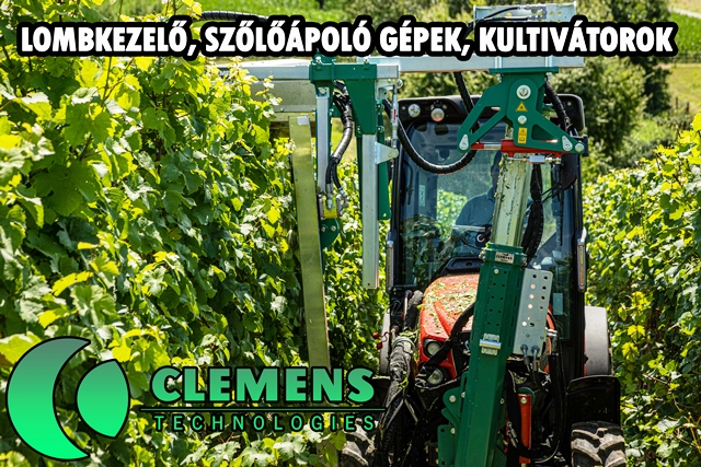 csonkázó felhívás weblap mini